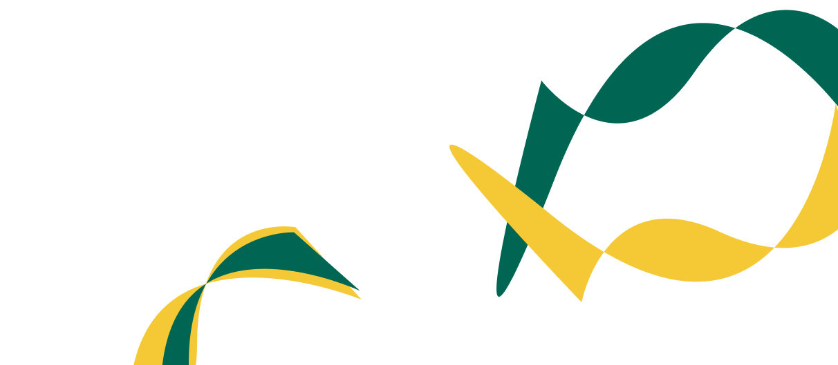 Expert Solutions for Corporate  Financial Success. - 雷速
